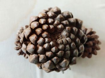 Close-up of coffee beans on table