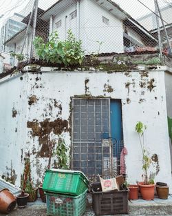 Potted plants on old building
