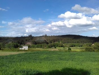 Scenic view of field against sky