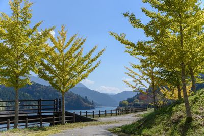 Scenic view of tree by mountain against sky