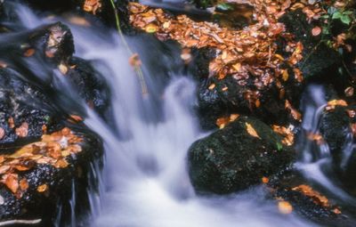 Scenic view of waterfall