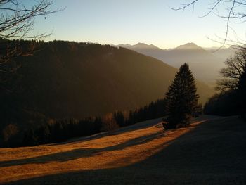 Scenic view of forest against sky at sunset