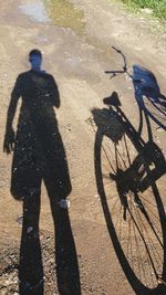 Shadow of man riding bicycle on road