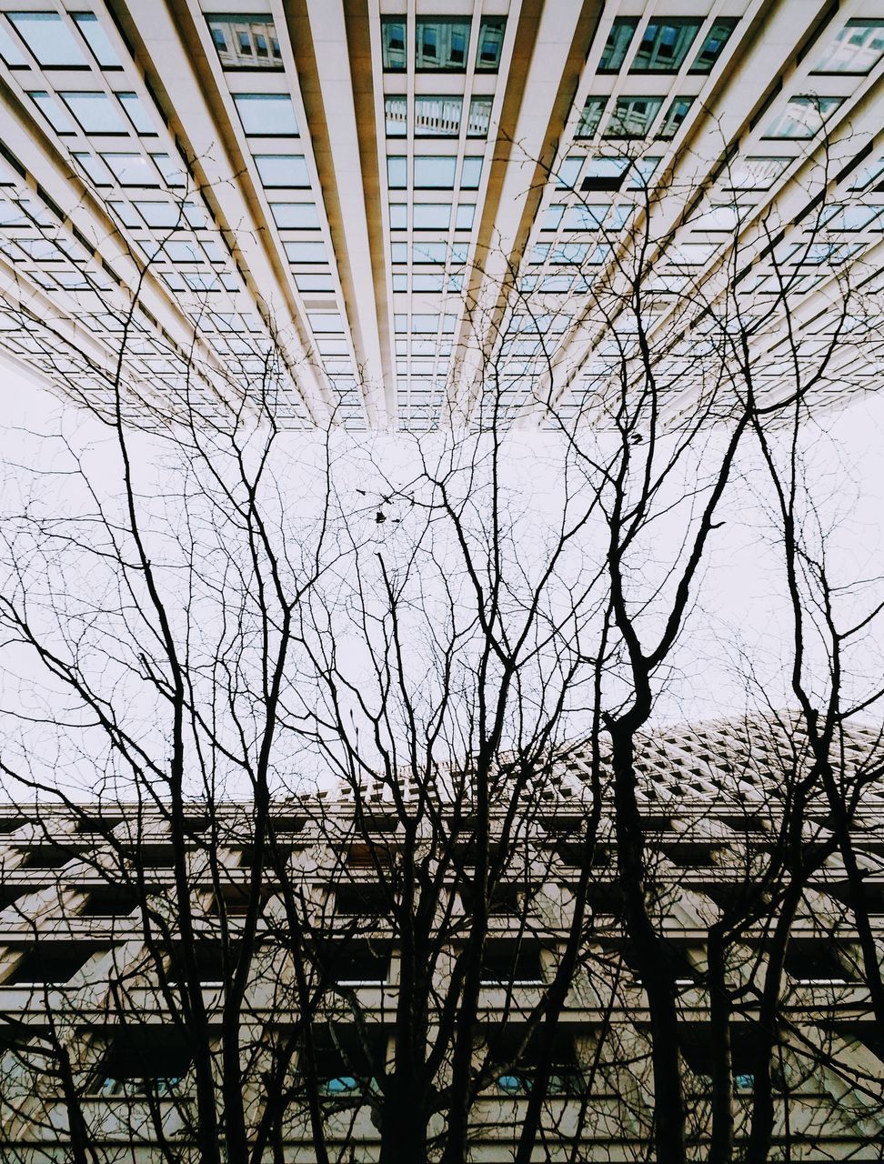 LOW ANGLE VIEW OF BARE TREE AND BUILDING IN CITY