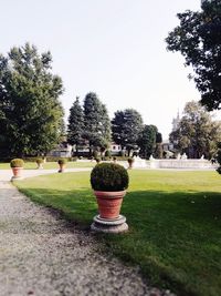 View of park on sunny day