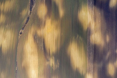 Full frame shot of rippled water