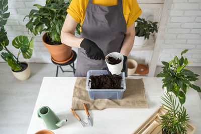 Midsection of woman holding potted plant