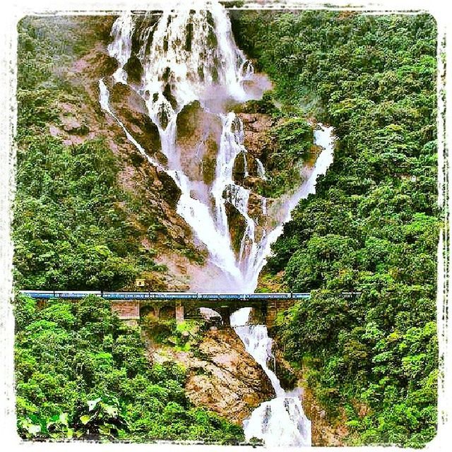 transfer print, waterfall, flowing water, auto post production filter, motion, water, rock - object, flowing, beauty in nature, nature, tree, long exposure, scenics, forest, plant, tranquility, moss, day, outdoors, growth