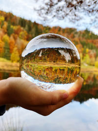 Cropped image of person holding crystal ball against trees