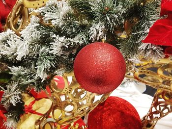 Close-up of christmas tree