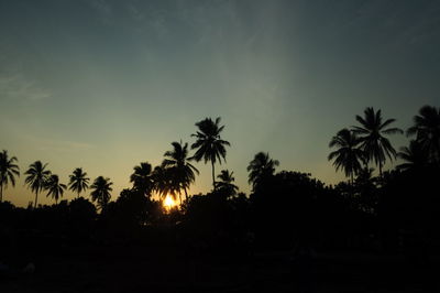 Silhouette trees against sky during sunset