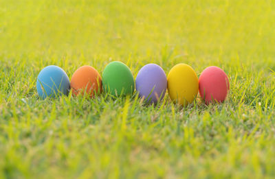 Multi colored easter eggs on grassy field