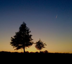 Silhouette trees against sky at night