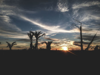 Silhouette trees on landscape against sunset sky