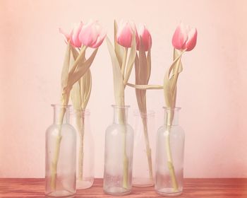 Close-up of pink flower vase on table against wall