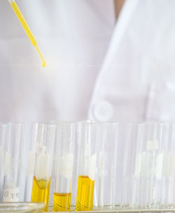 Midsection of scientist working in laboratory