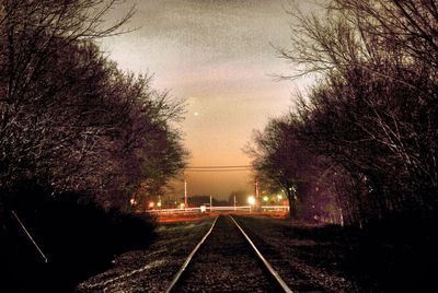 Railroad tracks amidst trees against sky