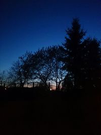 Silhouette of trees against sky at night