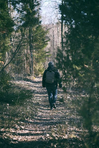 Rear view of people walking on footpath in forest