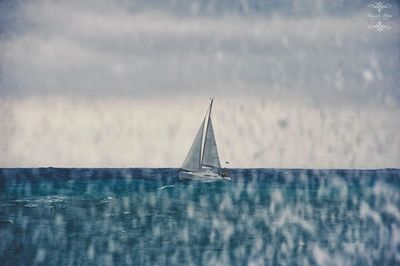 Sailboat sailing on sea against sky