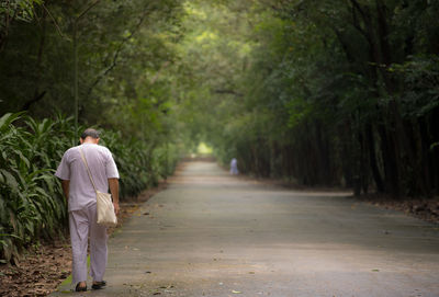 Rear view of man walking on footpath amidst trees in forest