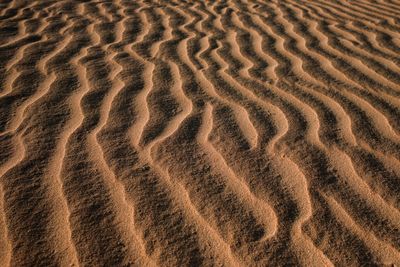 Full frame shot of sand dune