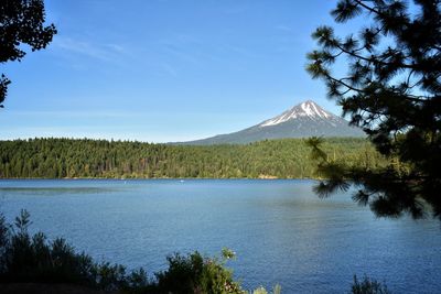 Scenic view of lake and trees against sky