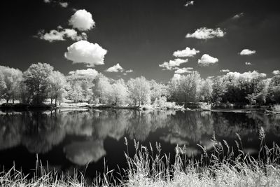 Reflection of trees in lake against sky