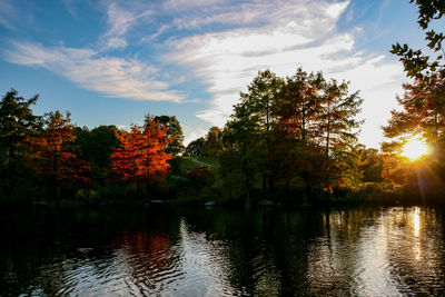 Scenic view of lake by trees against sky during autumn