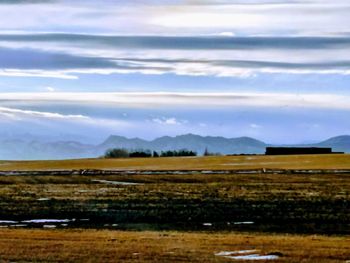 Scenic view of field against sky