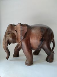Side view of elephant against white background