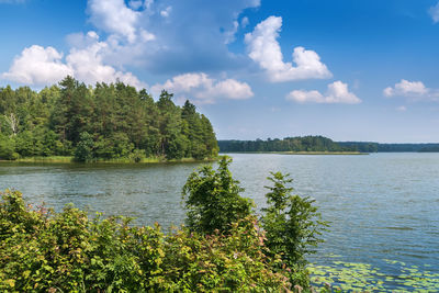 Baluokas lake in aukstaitija national park, lithuania