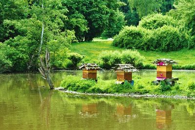 Scenic view of lake by trees