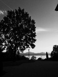 Silhouette tree by sea against sky