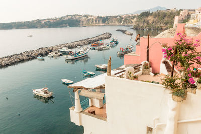 Procida in italy