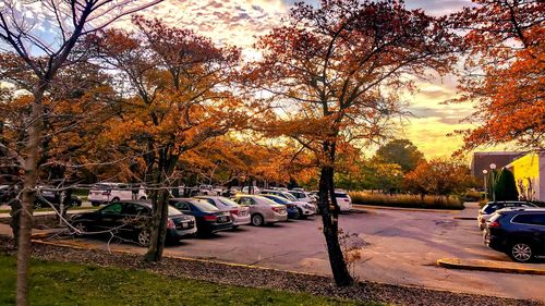 Bare trees by road against sky during autumn