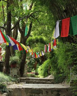 Multi colored flags hanging on railing against trees