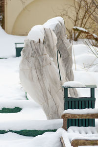 Plants and trees in a park or garden covered by the snow and blanket, swath of burlap