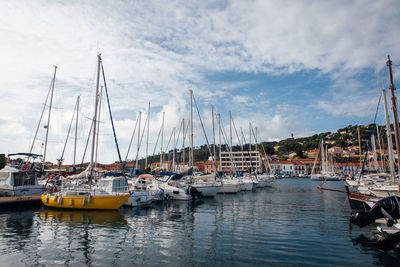 Sailboats moored in harbor