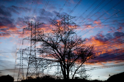 Silhouette of tree against dramatic sky