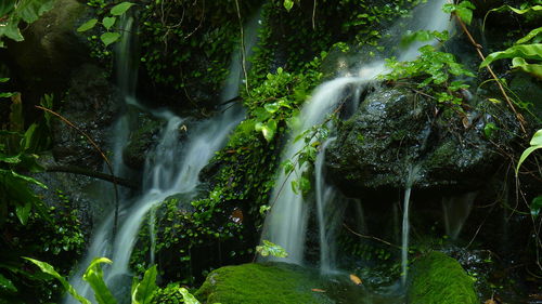 Waterfall in forest