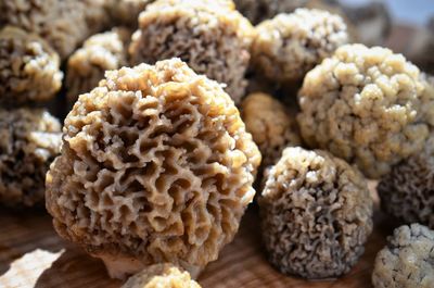 Close-up of morel mushrooms on table