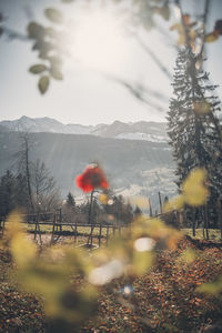 Scenic view of snow covered mountain against sky