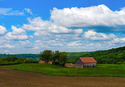 Scenic view of agricultural field against sky