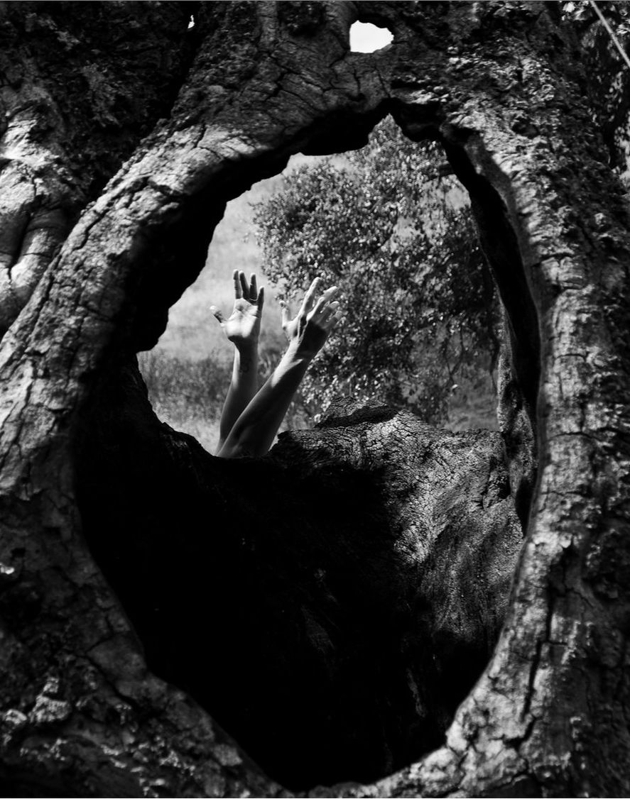 CLOSE-UP OF TREE TRUNK