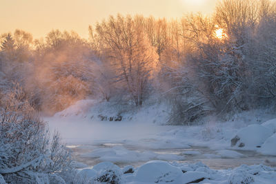 Snow covered land and trees against sky during sunset