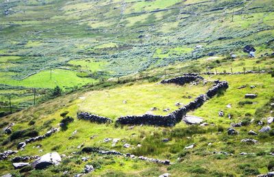 Scenic view of green landscape