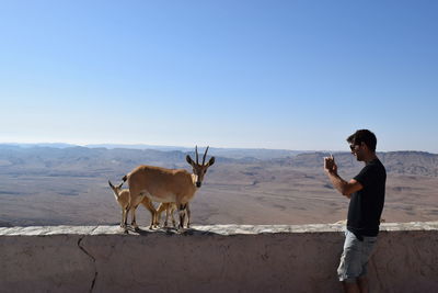 Side view of man photographing of deer on retaining wall against desert during sunny day
