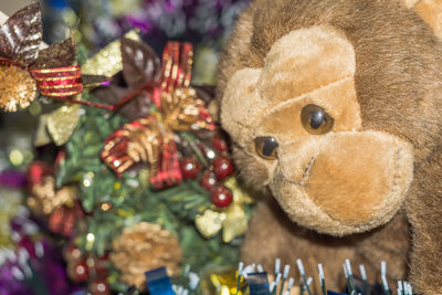 Close-up of christmas decoration