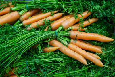 Fresh and sweet carrot in the grocery store. fresh vegetables